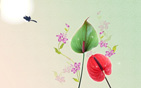 Flower Wallpapers new 6